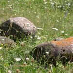 IMG_0127