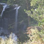 IMG_0247