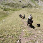 IMG_20230816_114555_318