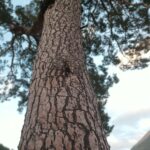 IMG_20230915_175938_018
