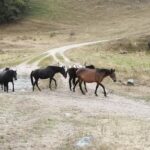 IMG_20230916_153251_772